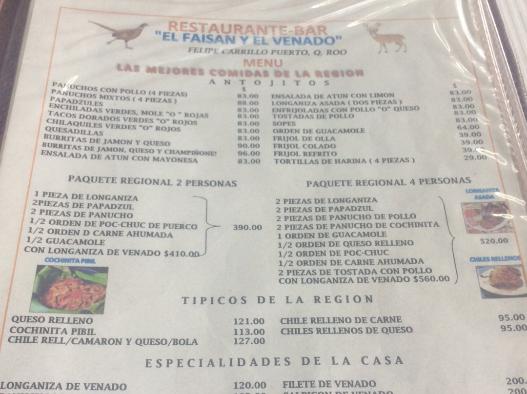 Hotel el Faisan y el Venado主图