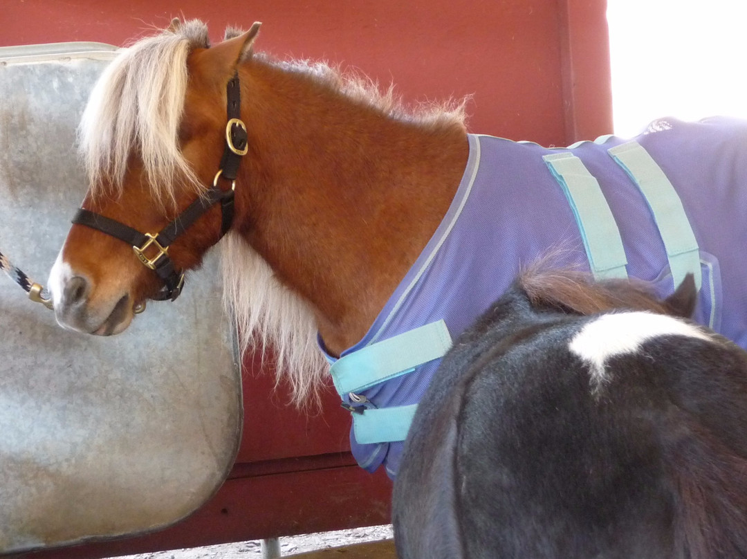 Blackberry Farm-库柏蒂诺必去景点