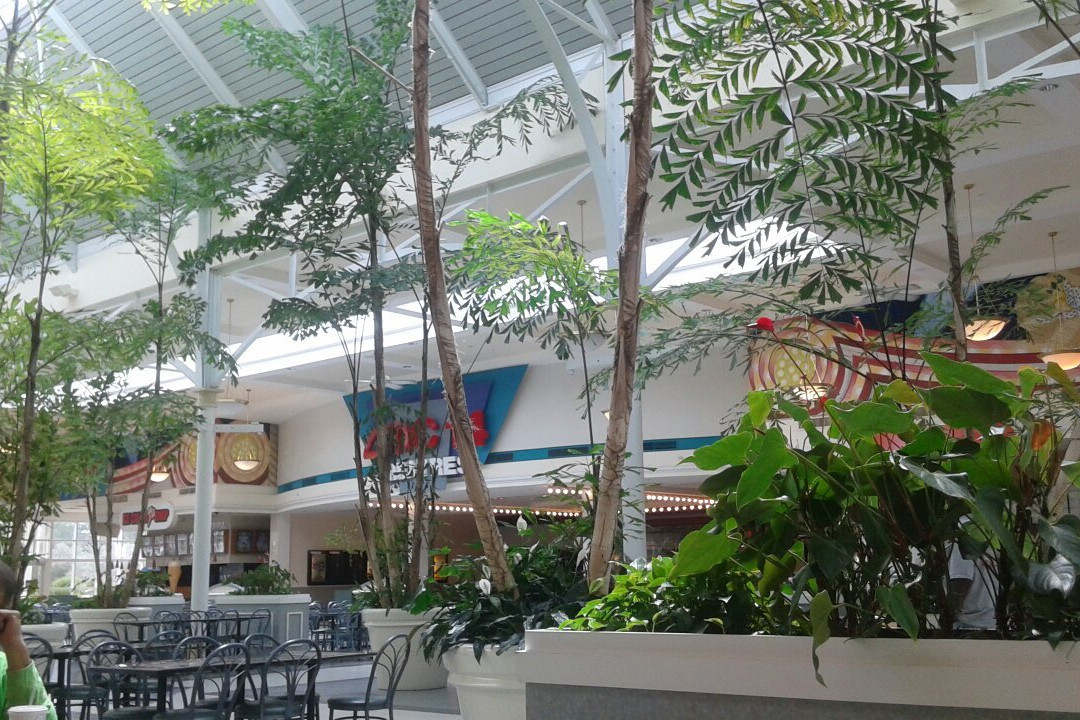 AMC West Oaks 14-Ocoee必去景点