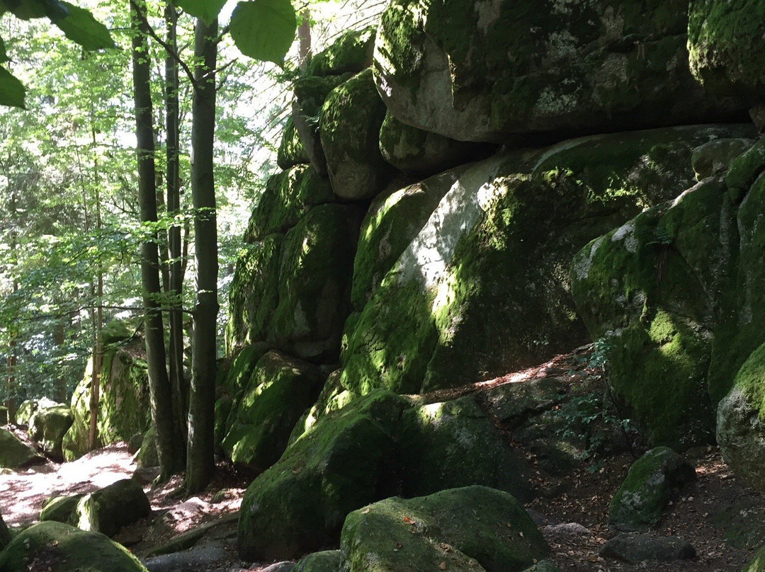 Naturschutzgebiet Hölle-Rettenbach必去景点
