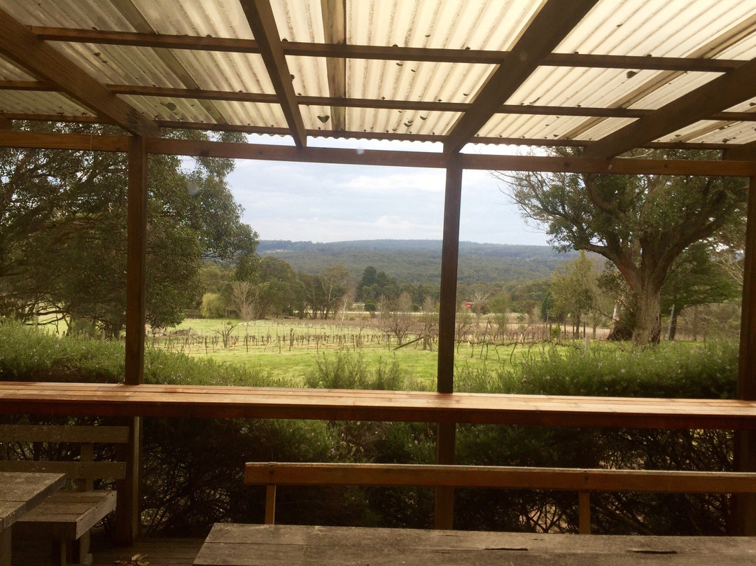 Mittagong旅游景点-Howards Lane Vineyard