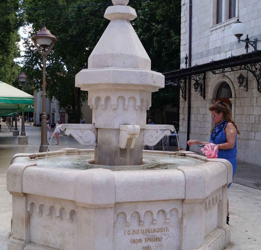 Fountain of Goiko Shishkovich-特雷比涅必去景点