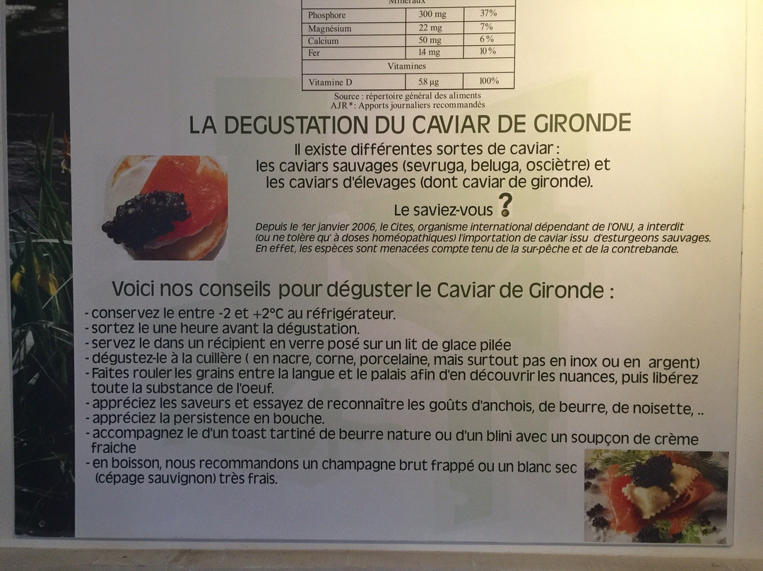 Caviar de France景点图片