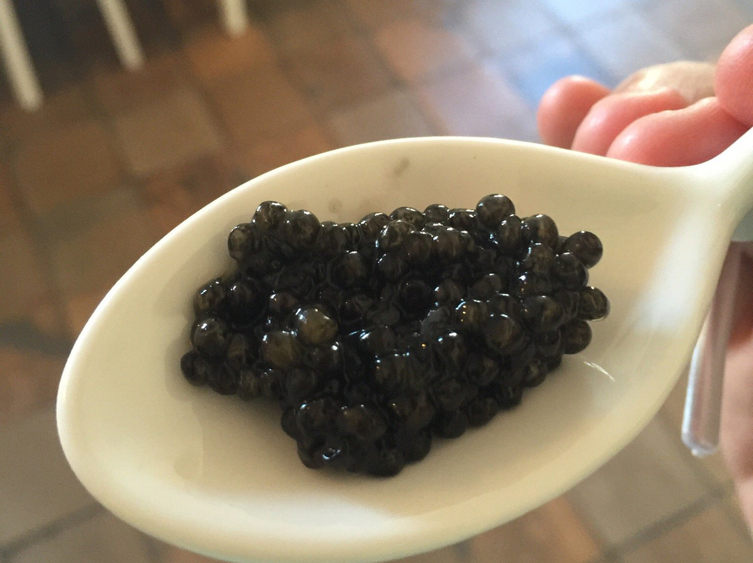 Caviar de France景点图片