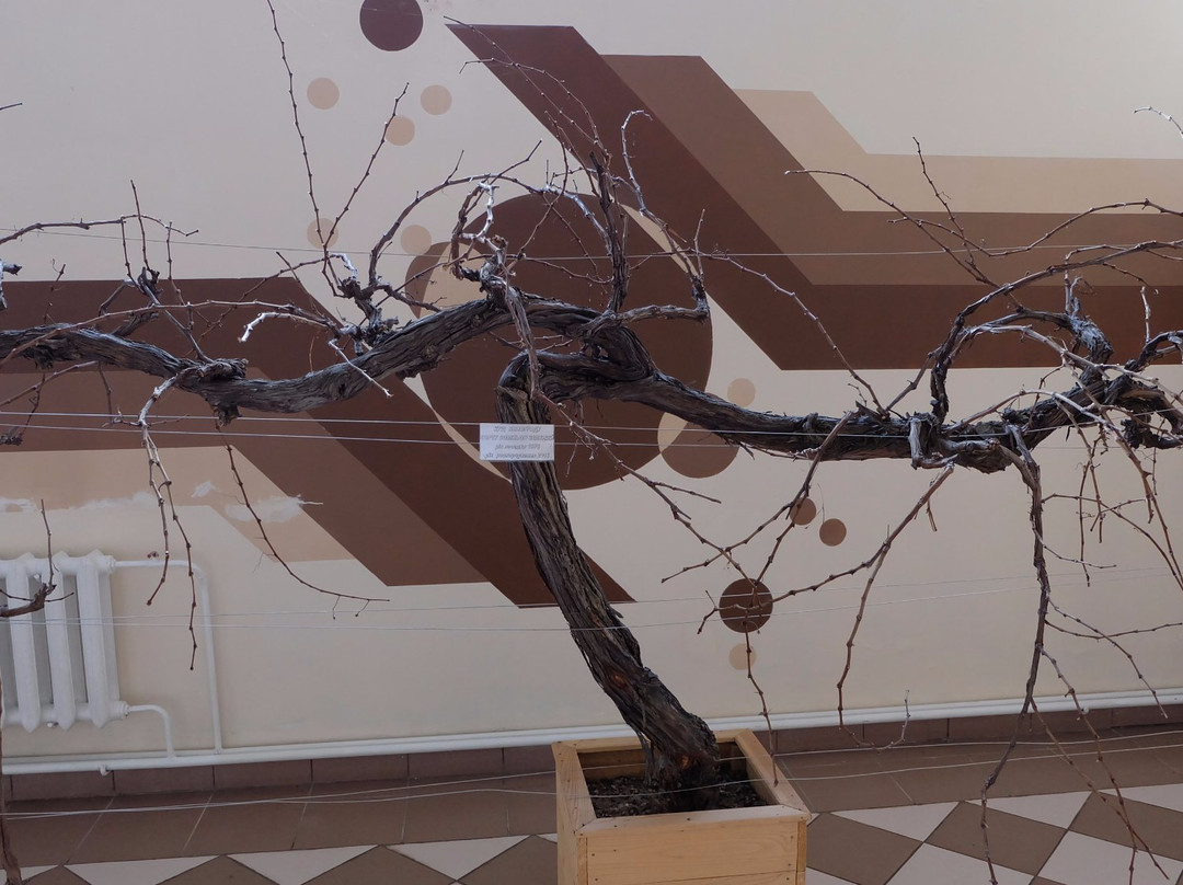 Kobleve Winery-Kobleve必去景点