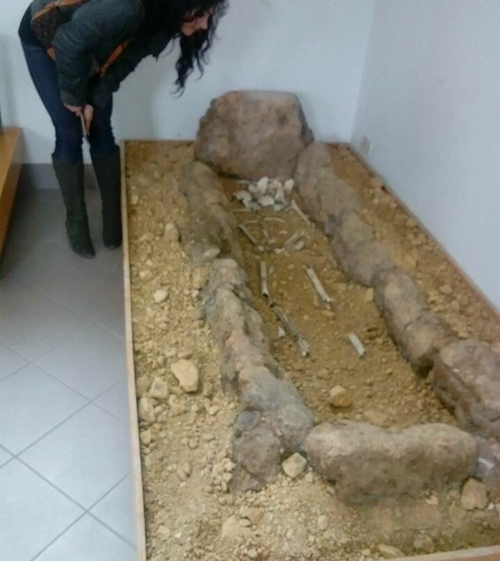 Museo Archeologico dell'Antica Allifae景点图片