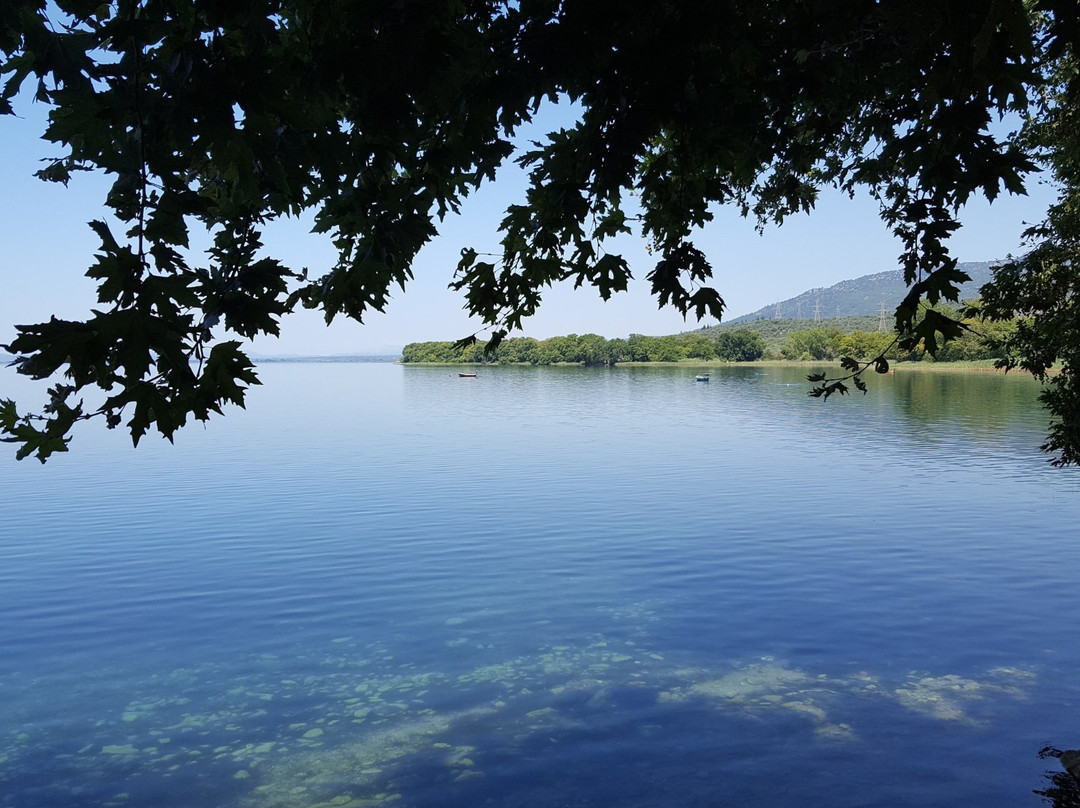 Lake Trichonida景点图片