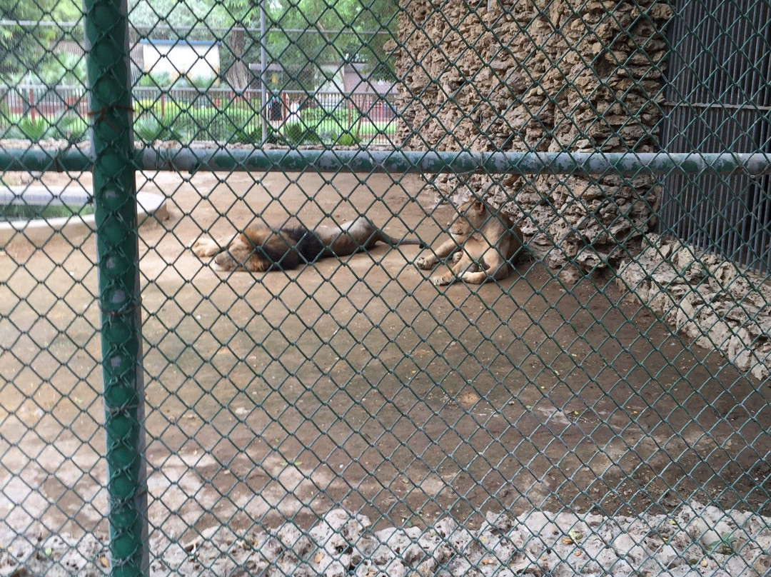 Karachi Zoo-卡拉奇必去景点