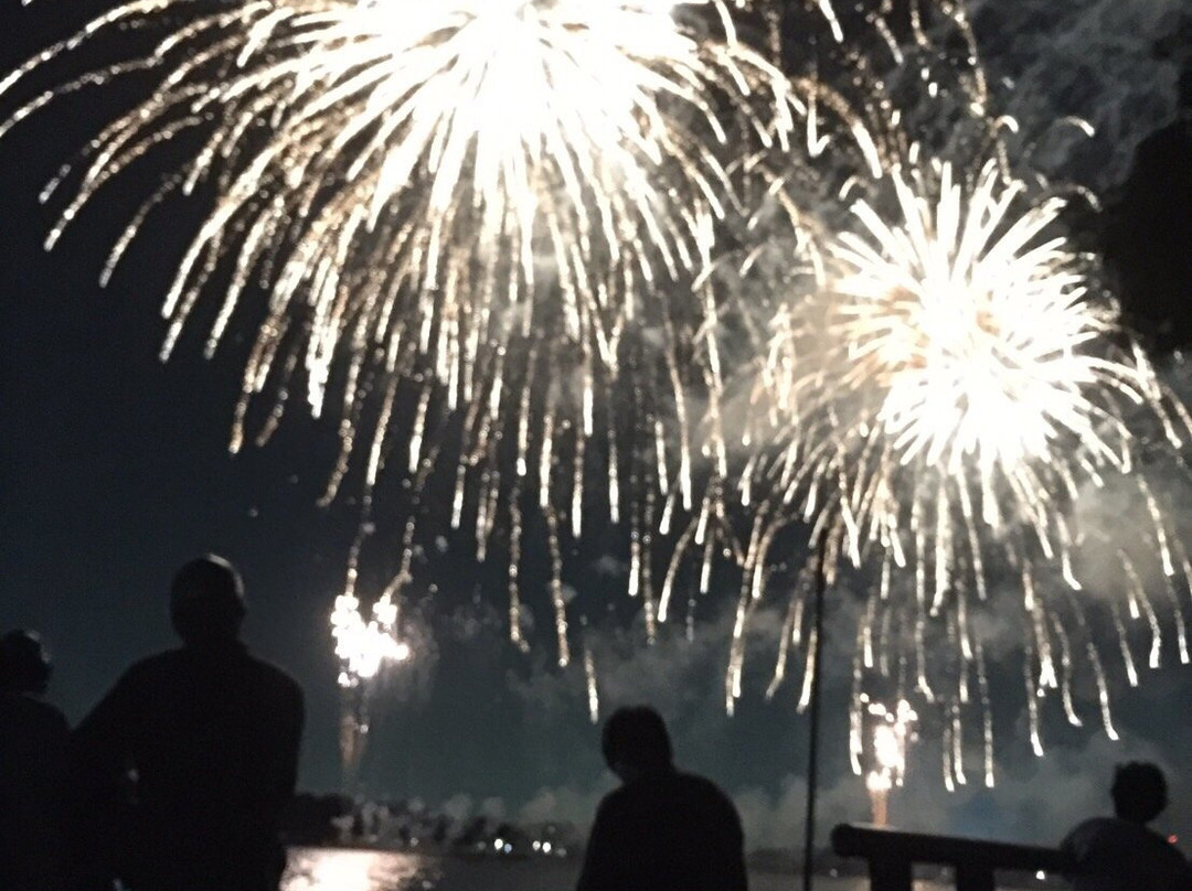 Teganuma Fireworks-柏市必去景点