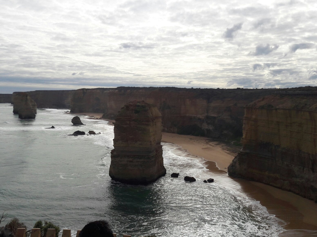 More Than A Tour Day Tours-季隆必去景点