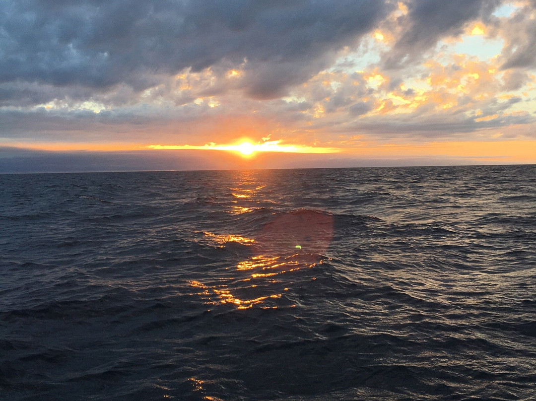 Fishing Offshore 1770 Charters-1770镇必去景点