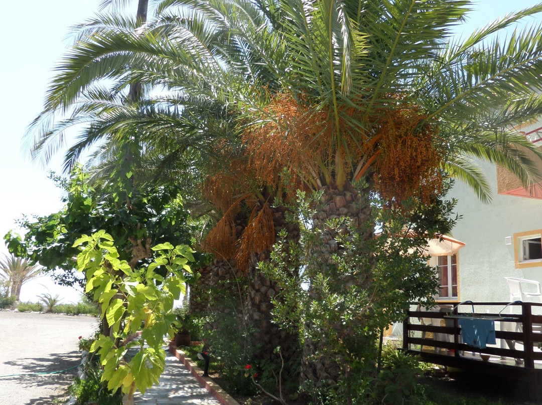 Nostos Villa and Apartments