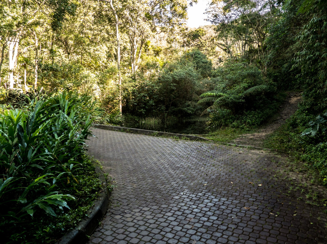 Parque Natural do Pedroso景点图片