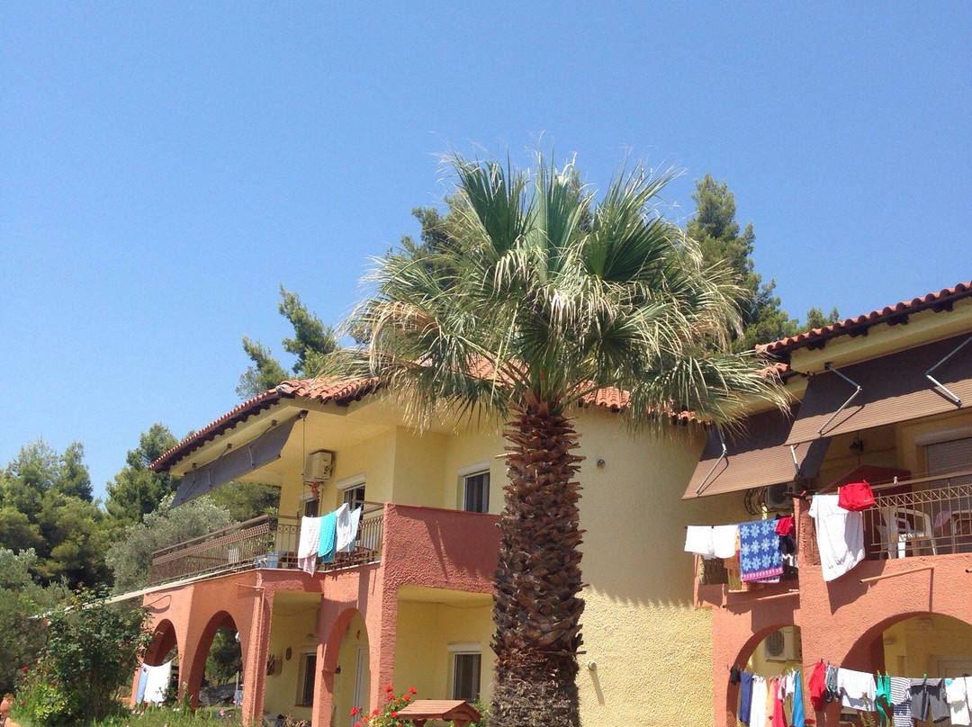 Villa Panorama Studios