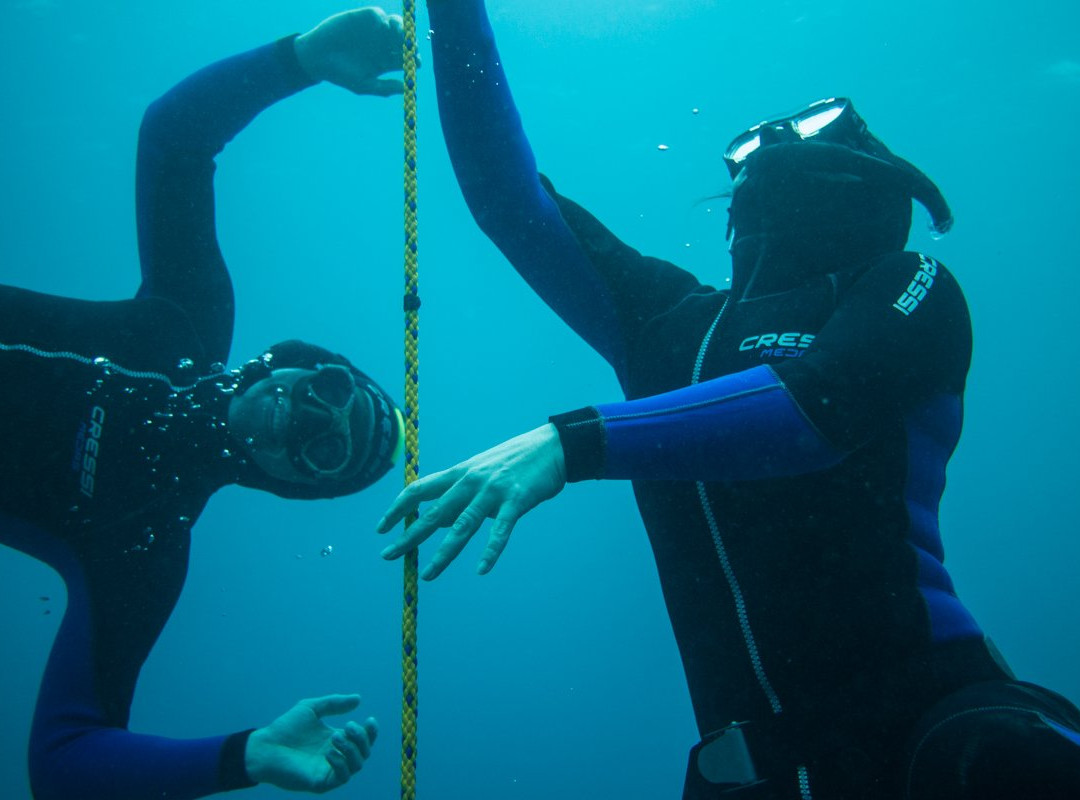 MAGMA Freediving School-拉哈雷斯必去景点