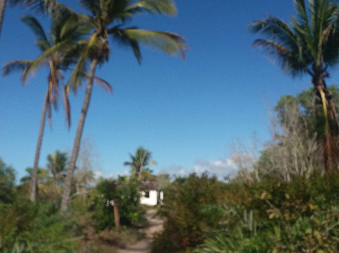 Parque Estadual de Itaunas景点图片