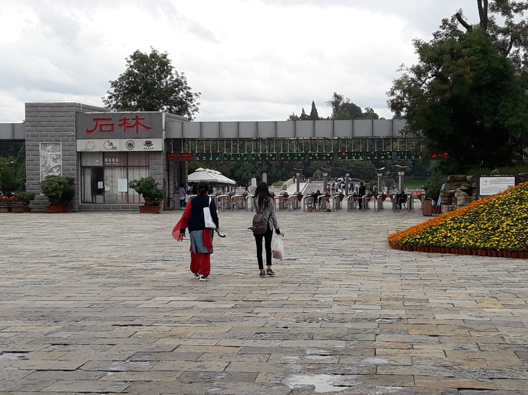 钟灵山森林公园-寻甸回族彝族自治县必去景点