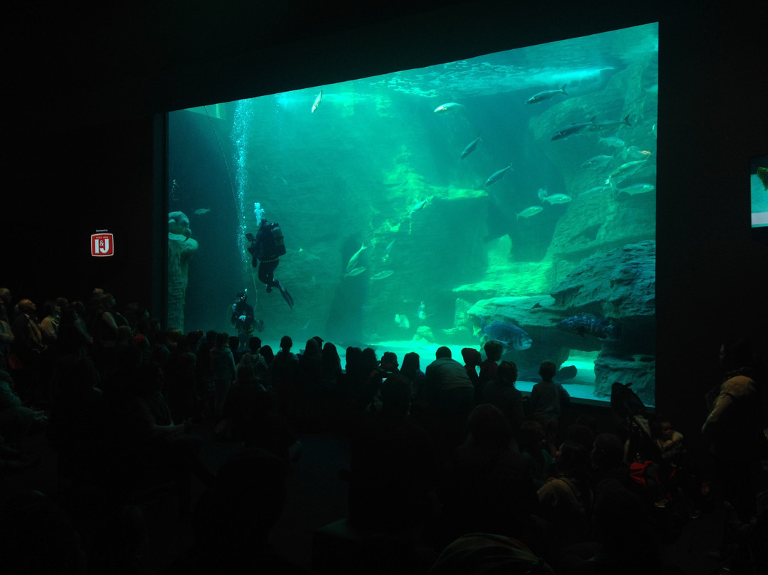 Two Oceans Aquarium-开普敦中心区必去景点