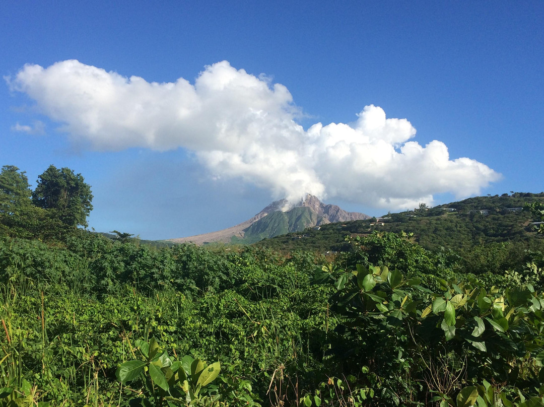 Montserrat Jolly Up Tours-Jolly Harbour必去景点