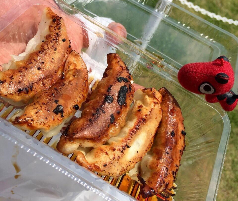 Utsunomiya Gyoza Festival-宇都宫市必去景点