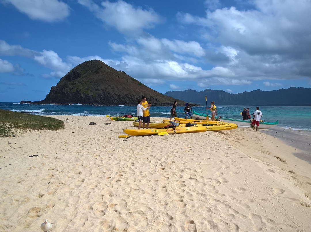 Windward WaterSports-科纳必去景点