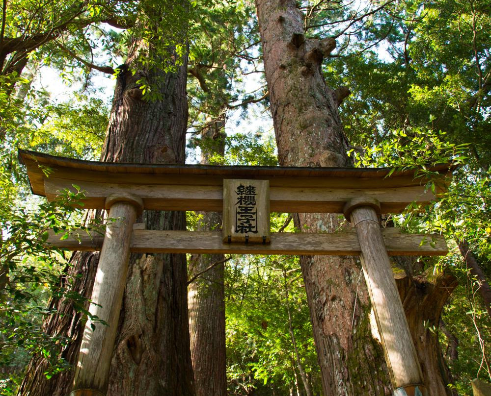 Tsugizakura-oji-田边市必去景点