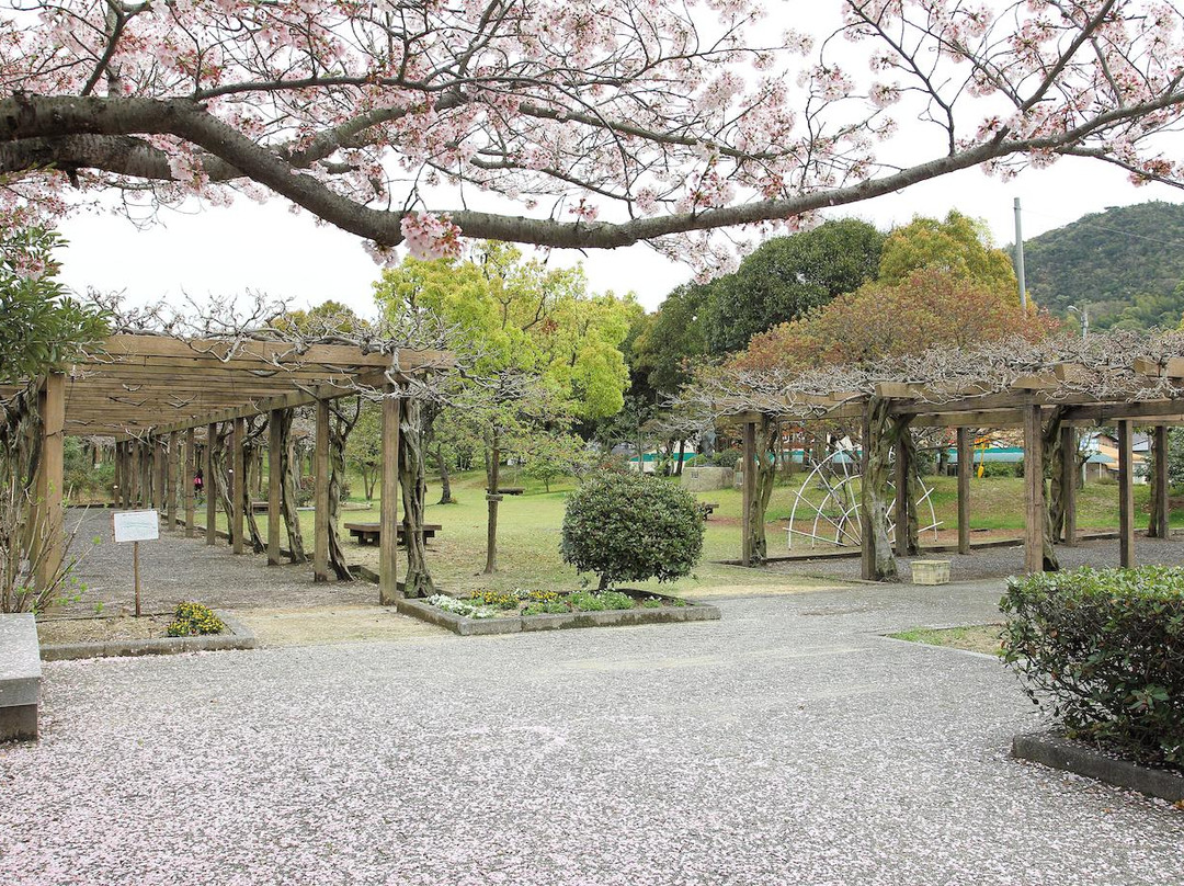 Omishima Fuji Park-今治市必去景点