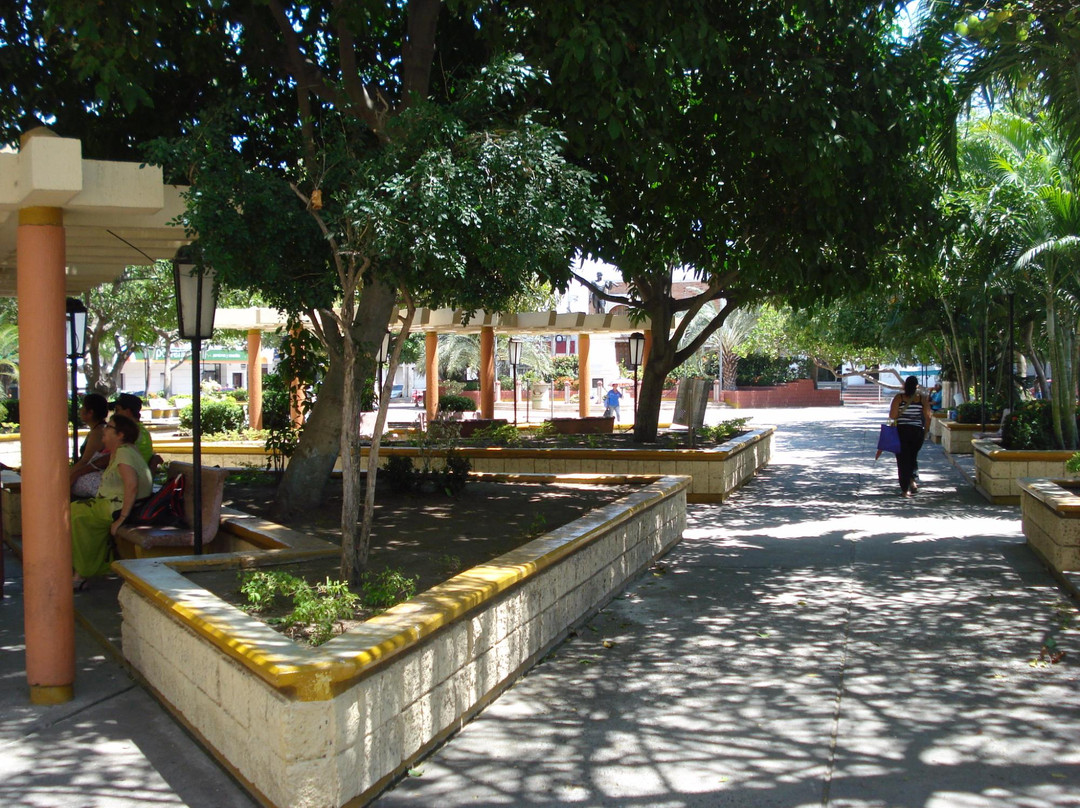 Plaza Padilla景点图片