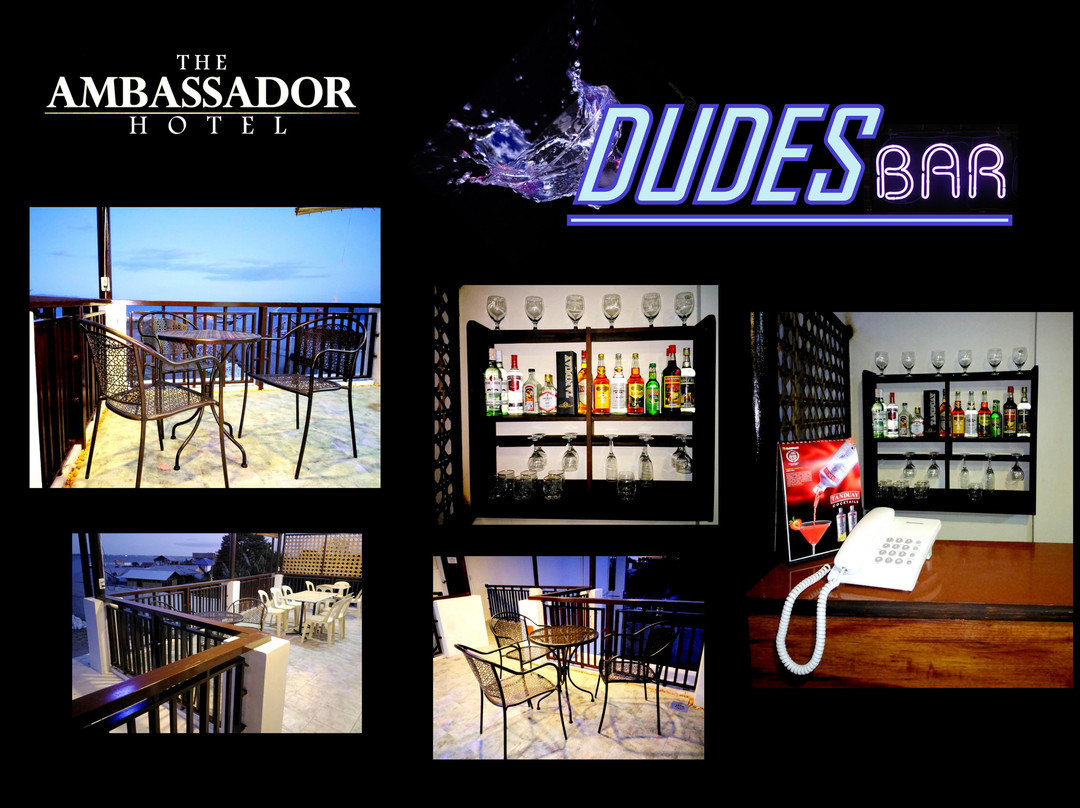 The Ambassador Hotel主图