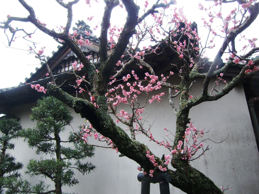 Tenju-in-热海市必去景点