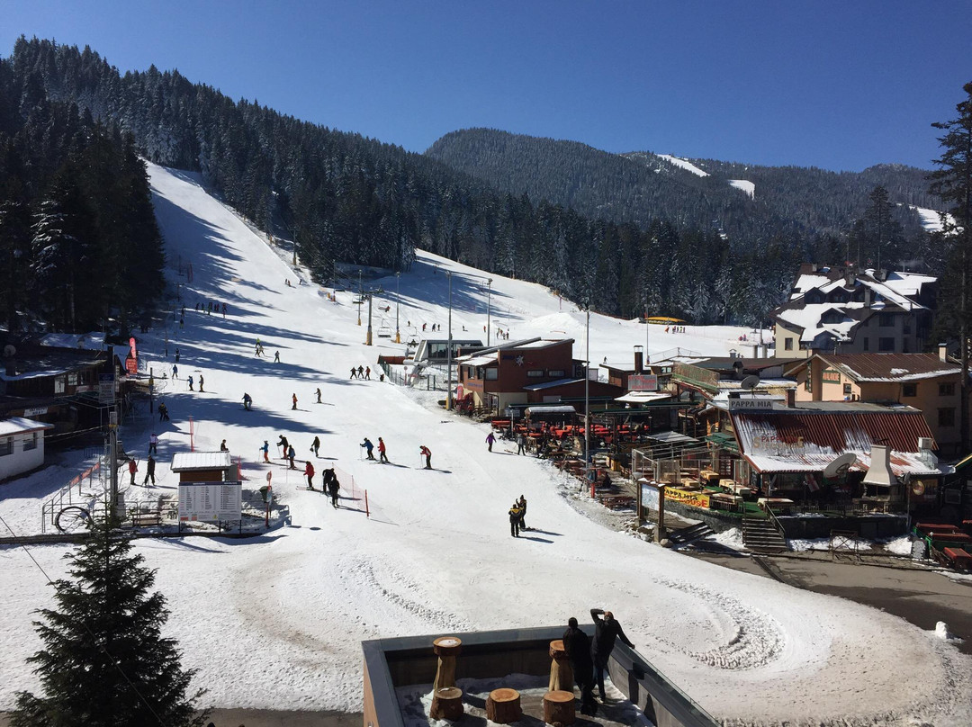 Yanakiev Ski and Snowboard School景点图片