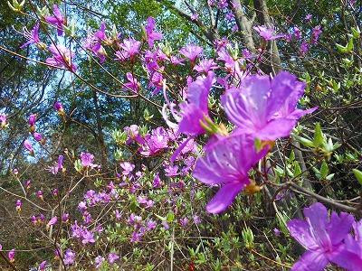 Kabutoyama Shinrin Park-西宫市必去景点