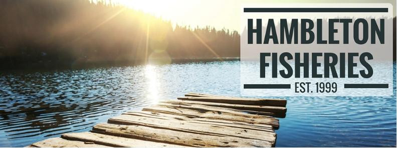 Hambleton Fisheries