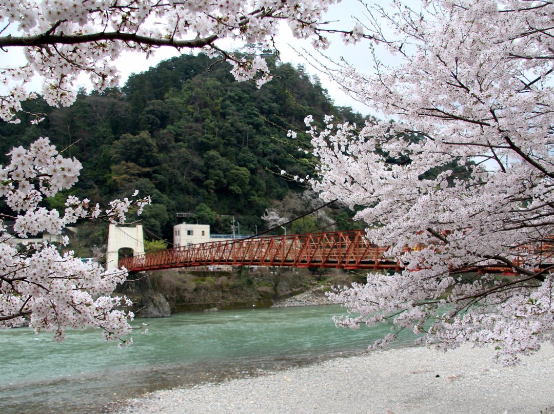 Mino Washi Akari Art Hall-美浓市必去景点