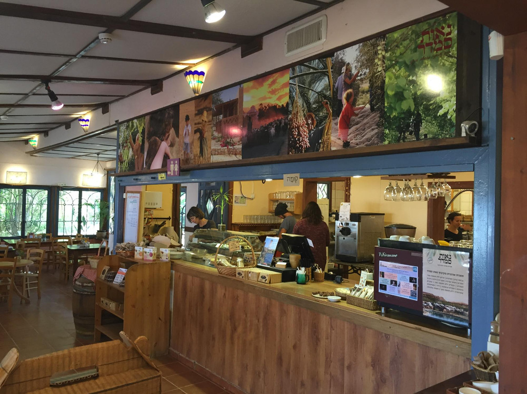 Neot Semadar Tour-埃拉特必去景点