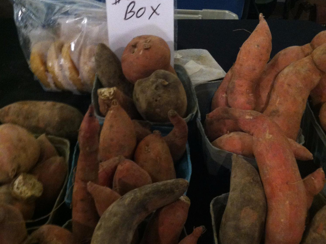Athens Farmers Market-阿森斯必去景点