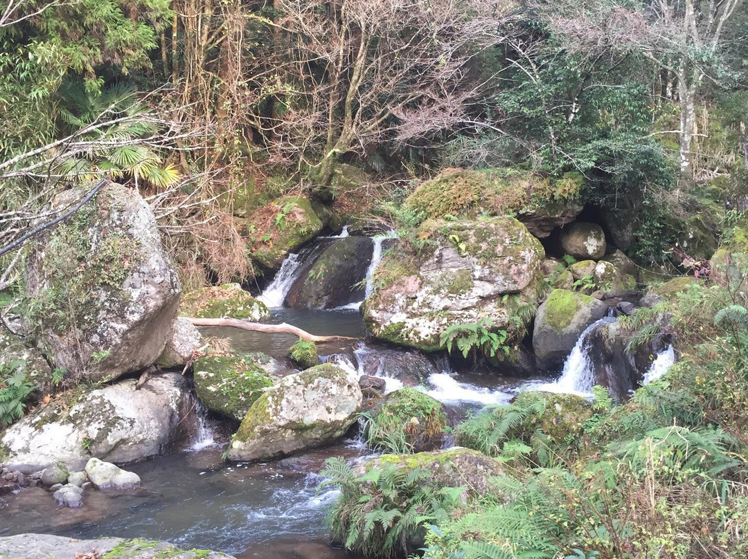 Shimizu Waterfalls-玖珠町必去景点