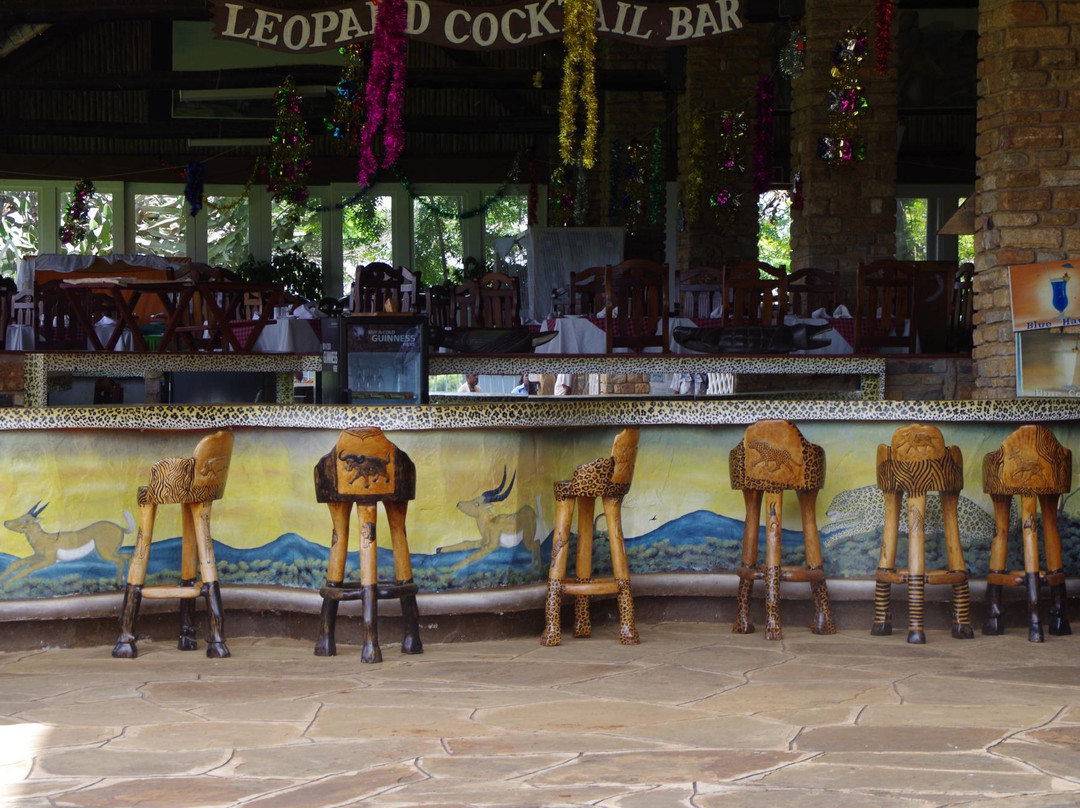 Tsavo River Hippo Safari Lodge & Spa