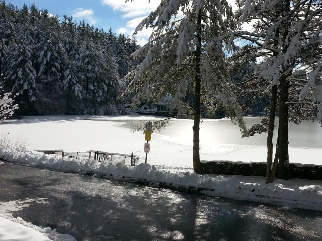 Coggshall Park-Fitchburg必去景点