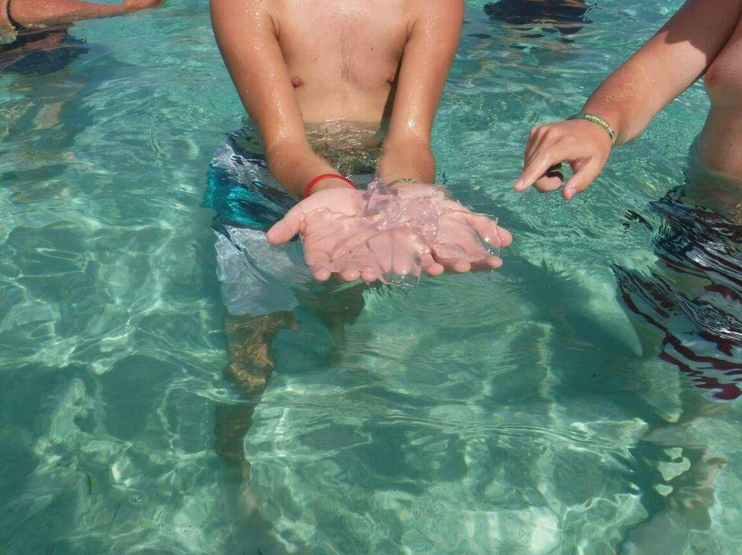 可奇海滩-Smith Bay必去景点