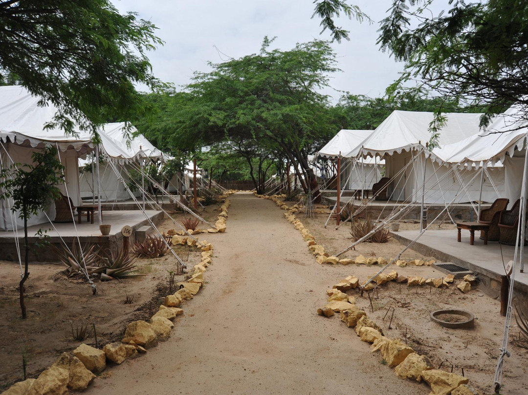 Mandvi Beach Resort主图