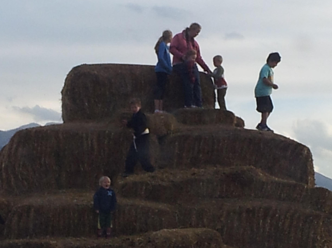 Jaker's Pumpkin Patch-Springville必去景点