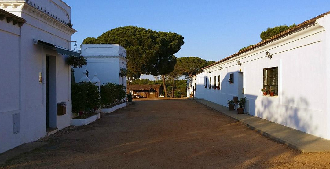 Territorio Activo: Albergue Rural Territorio Del Gato