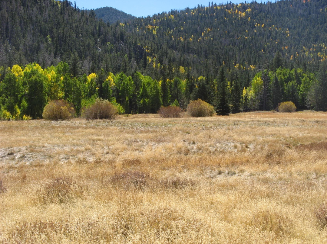 Baker Lake Trail-Great Basin National Park必去景点