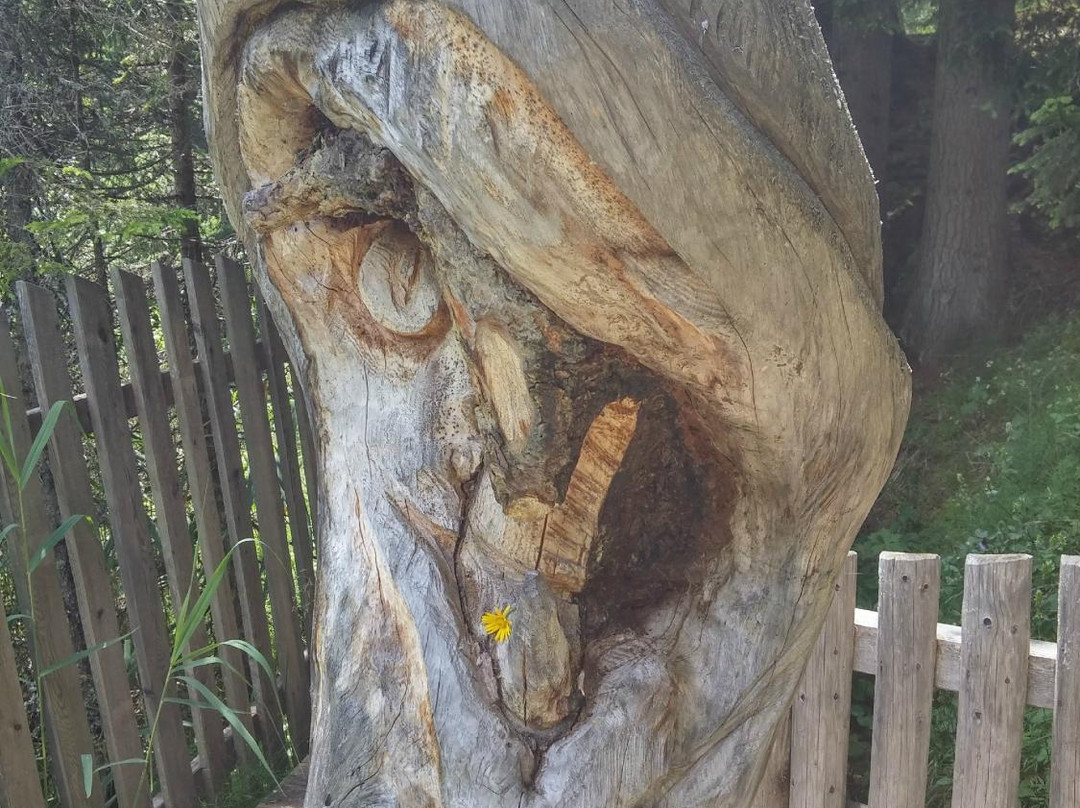 Percorso Didattico Biotopo-Braies必去景点