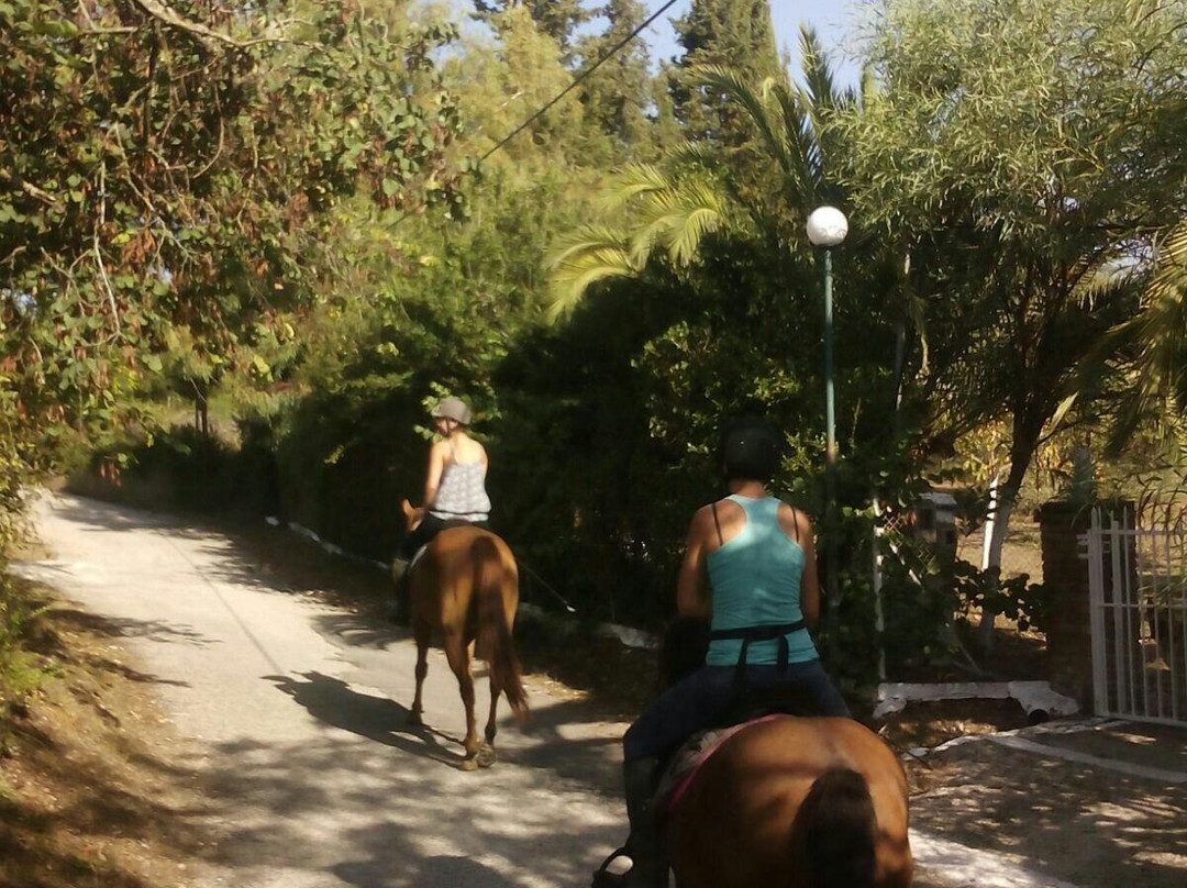 Horse Riding Kourkoumeli-科孚必去景点