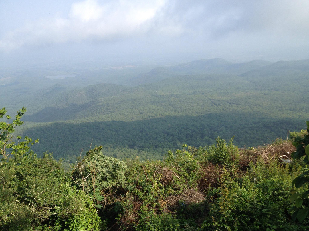 Biligiri Ranganath Hills景点图片