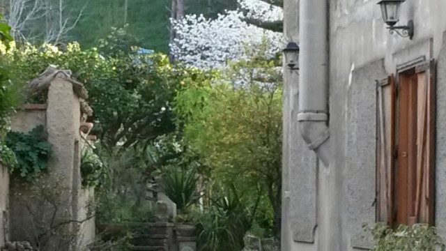 Salice旅游攻略图片