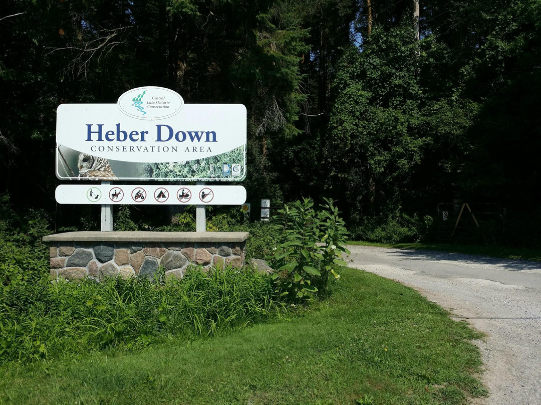 Heber Down Conservation Area-Whitby必去景点