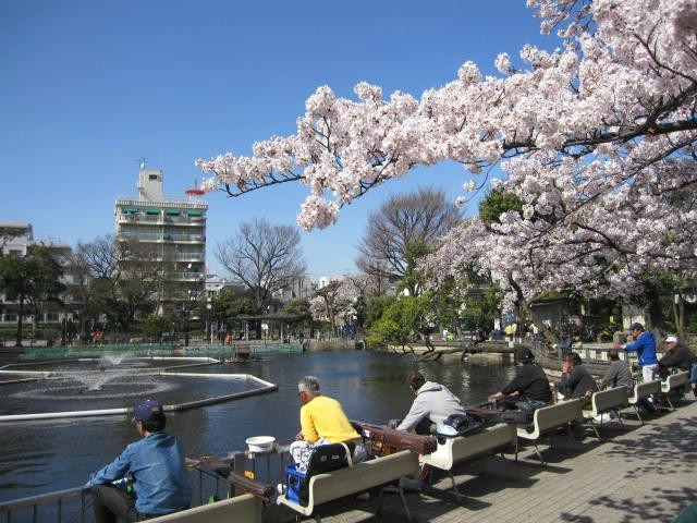 Shimizuike Park-目黒区必去景点